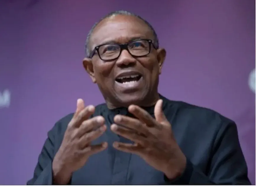 Insufficient Supply Fueling FX Market Pressures –Peter Obi