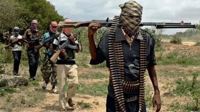 Zulum condemns killing of 8 farmers by ISWAP in Borno