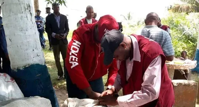 NDLEA Confiscates 685 Kg Illicit Drugs, Shuts Down 13 Drug Outlets in Kaduna
