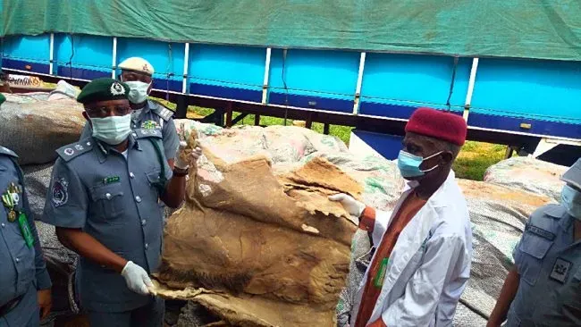 Customs Seizes Smuggled Donkey Skin, Petrol In Adamawa, Taraba