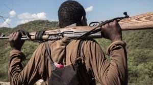 Benue Highway Plagued by Armed Men