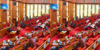 Senate Advocates Introduction of Food Stamp Program to Combat Food Insecurity