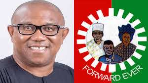 Labour Party state chairmen speak on suspending Peter Obi 
