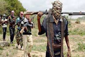 Terrorists Launch Fresh Attack On Kaduna Community