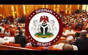 Budget Padding: Northern Senators Distance Themselves from Allegations