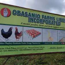 Obasanjo’s farm, 27 feeders downgraded from Band A to E after FG increased electricity tariff 
