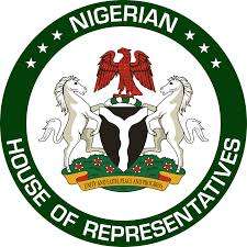 House of Reps Reveals Steps to address Fuel Scarcity  