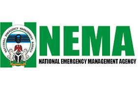 NEMA receives 150 Nigerians from Chad 
