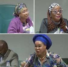 Reps query minister over N45m spent on new year party, others