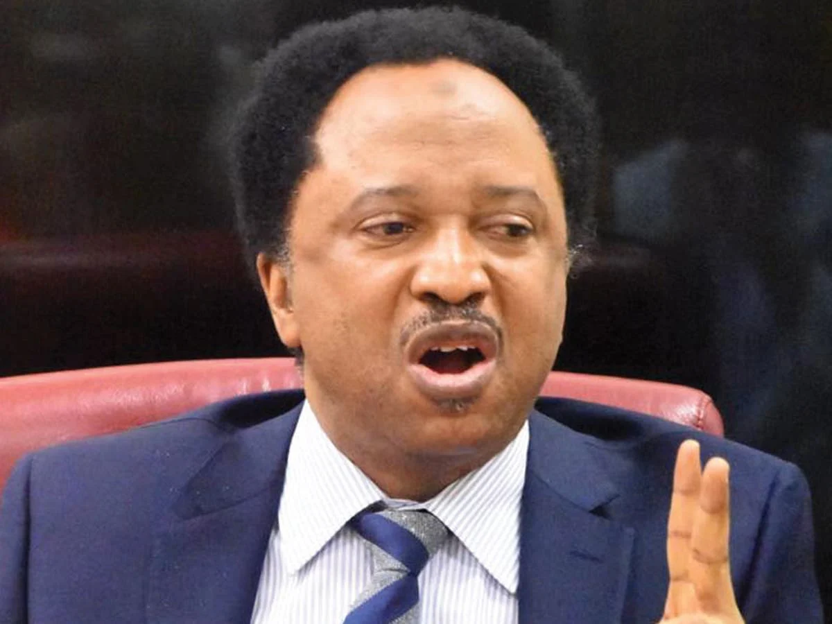 Shettima’s plane attack by ‘foreign object’: Shehu Sani calls for probe