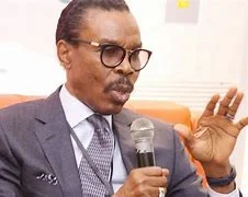 Overhaul Power Sector to Unlock Nigeria’s Economic Growth in 2025 – Rewane