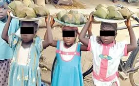 Out-of-school children: UNICEF moves to cut number in Kano, Jigawa, Katsina