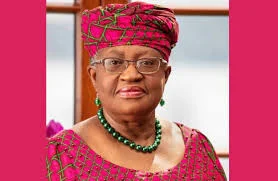 Harness AI to Develop: Okonjo-Iweala urges Africa