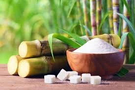 Scientists Unlock key Advances in Sugarcane Genomics