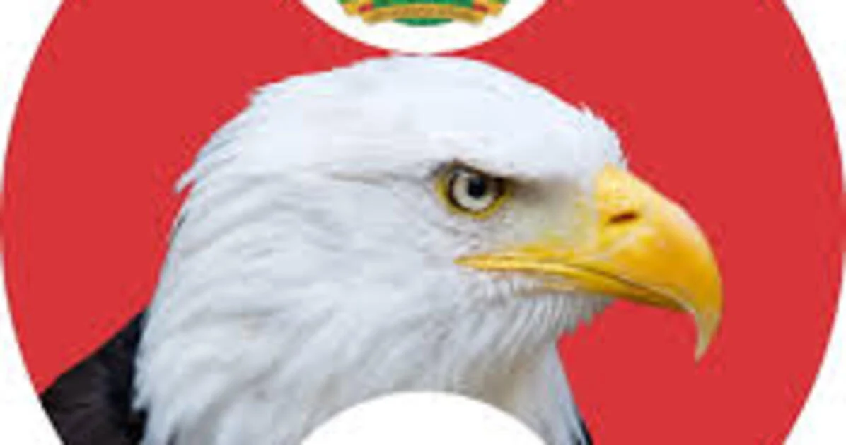 EFCC alerts Nigerians on 58 illegal Ponzi schemes
