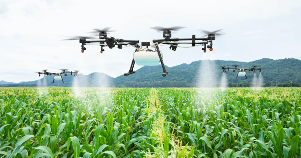 Smart Agriculture: NNPC foundation trains 15,000 farmers